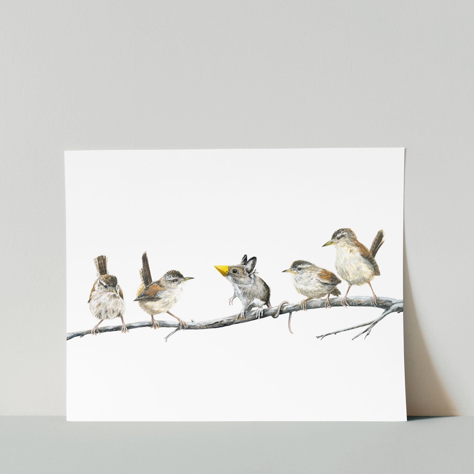 Marsh Wrens & Field Mouse