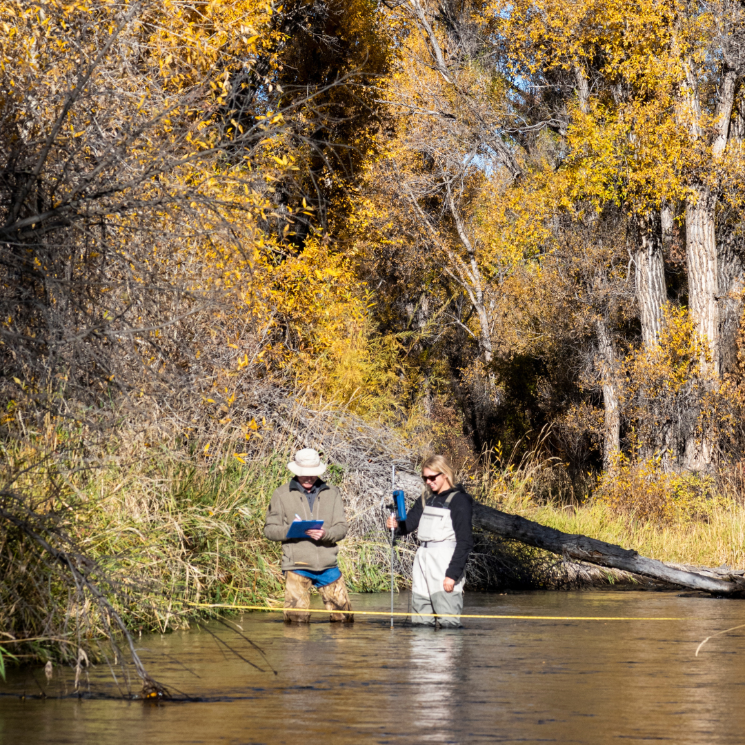Gallatin Watershed Council
