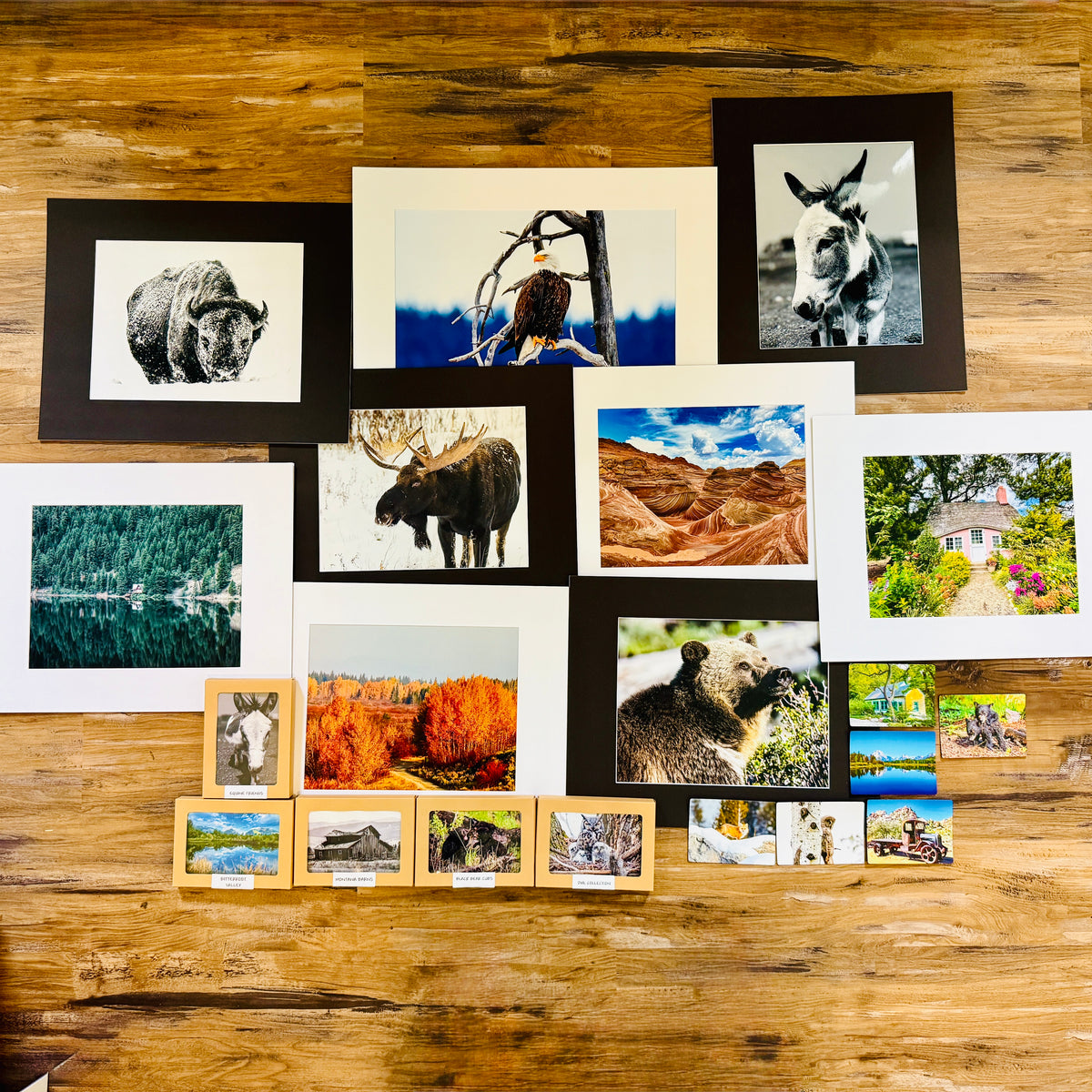 Pamela Armijo Photography