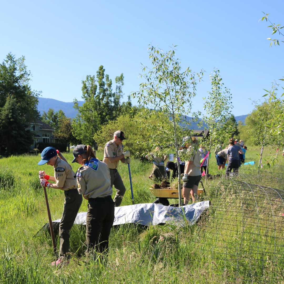 Gallatin Watershed Council