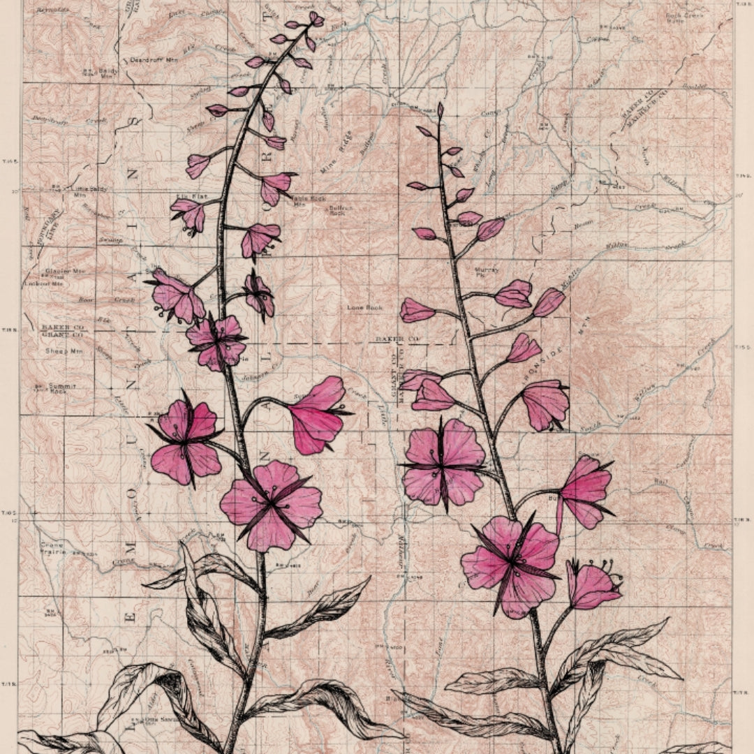 Anita Mathews Artwork