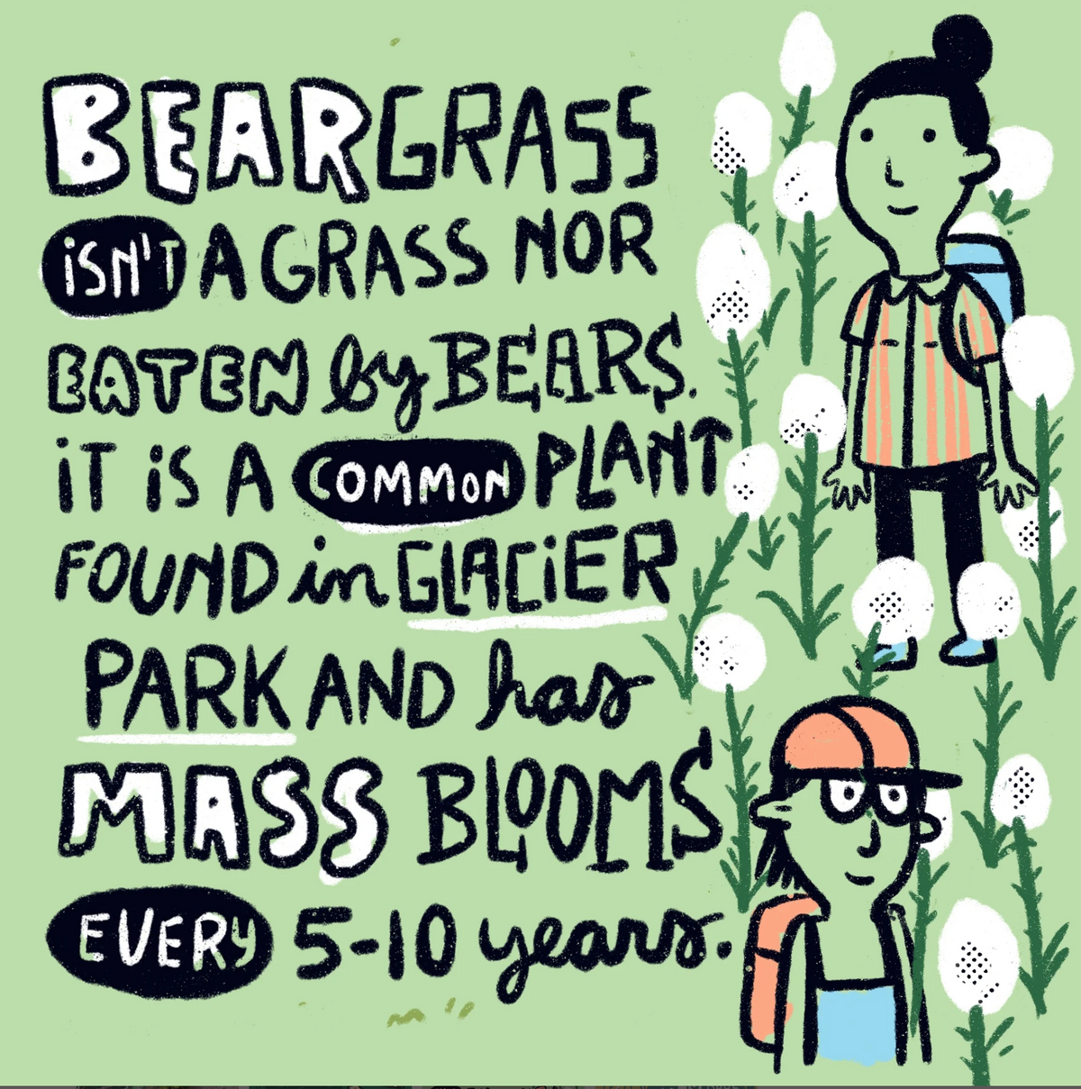 Glacier Park Quick Facts