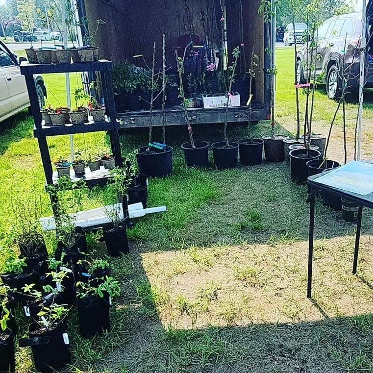 Knapping Moose Orchards &amp; Montana Orchard Services