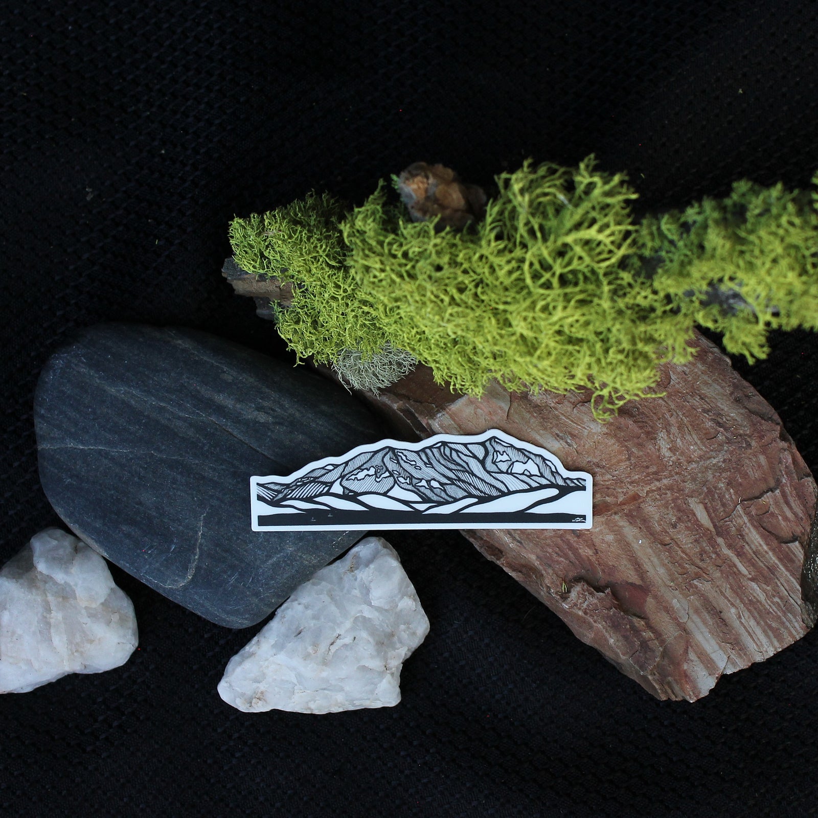 Hyalite Reservoir, MT