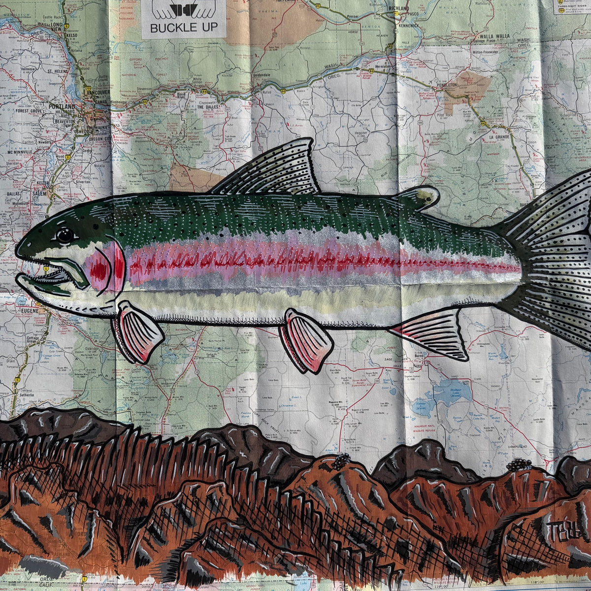 Travis Bradford Fish Art