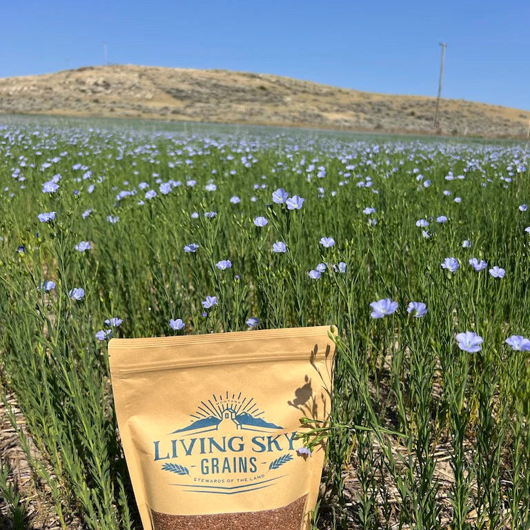 ECOTHERM PACK | DOUBLE