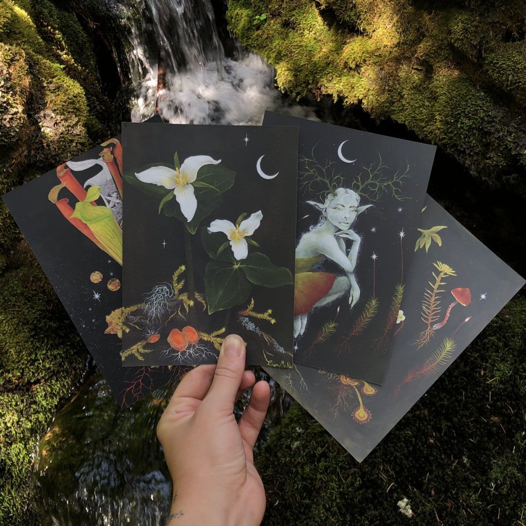 Up Moss Creek Studio