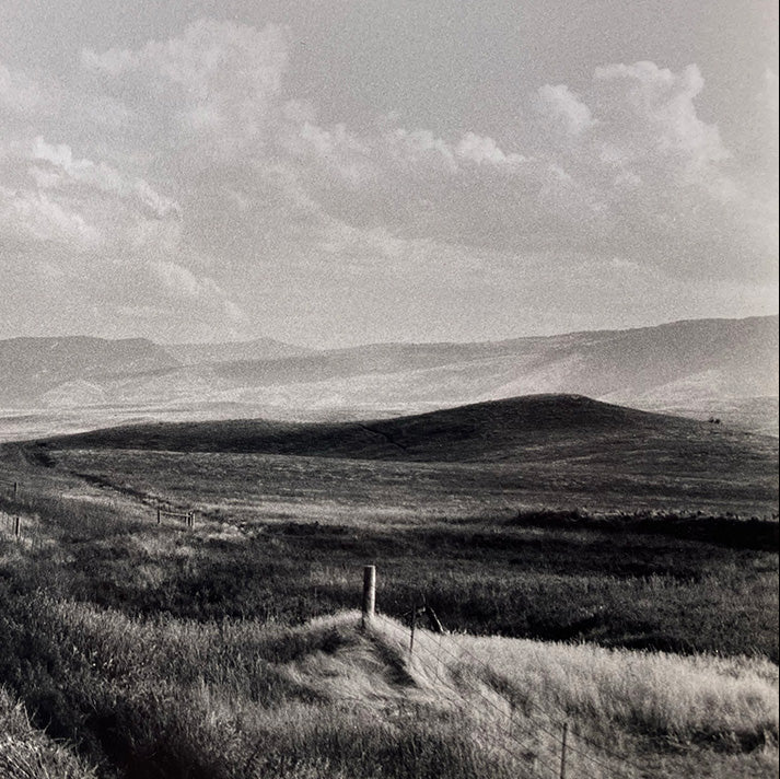 Weston Waldman Photography