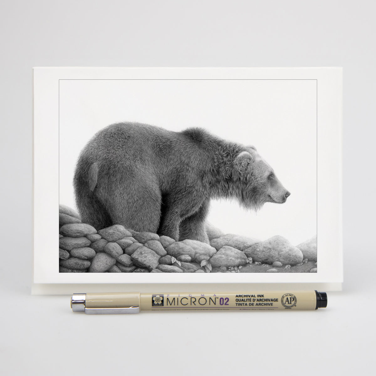Grizzly Study