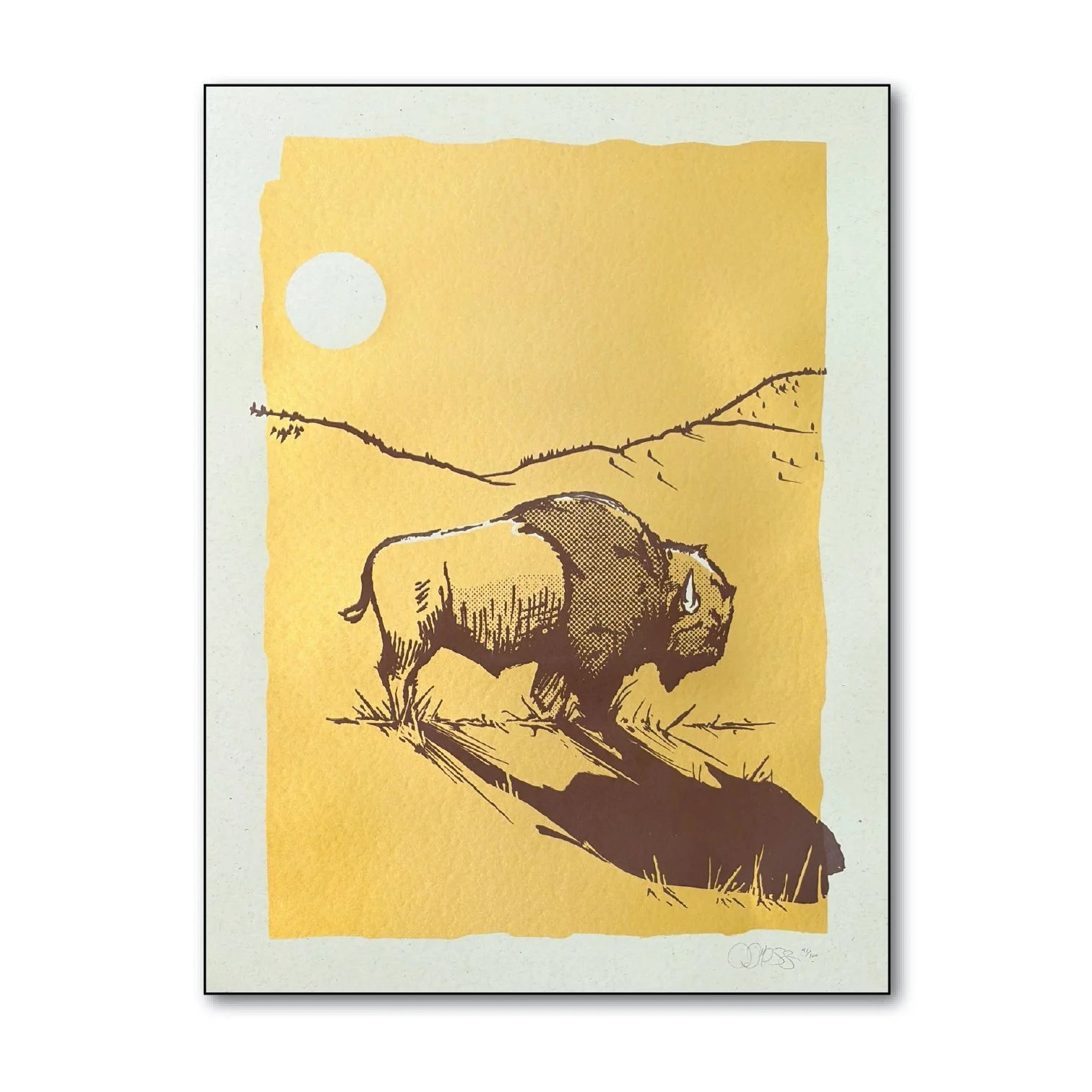 Bison Shadow