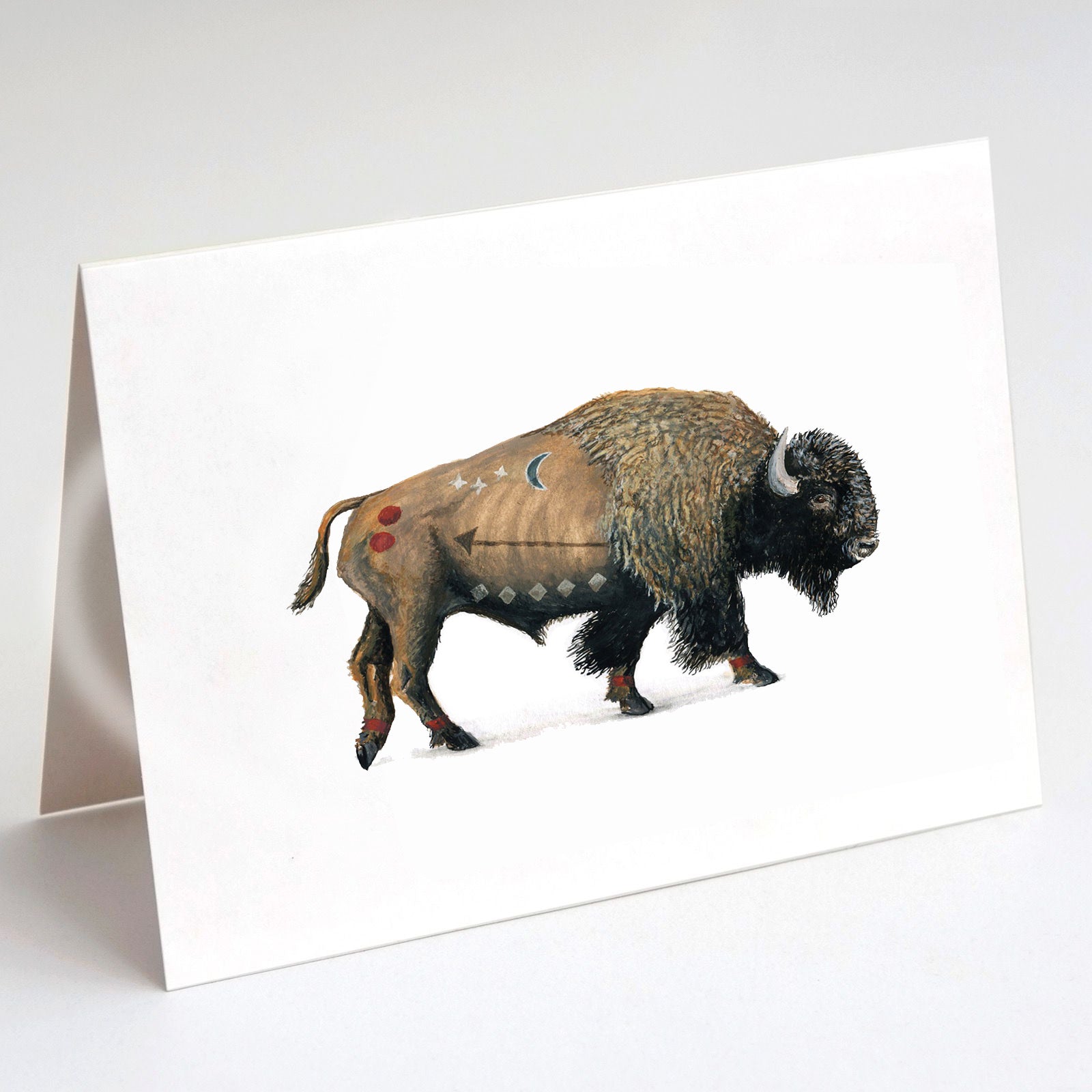 Bison