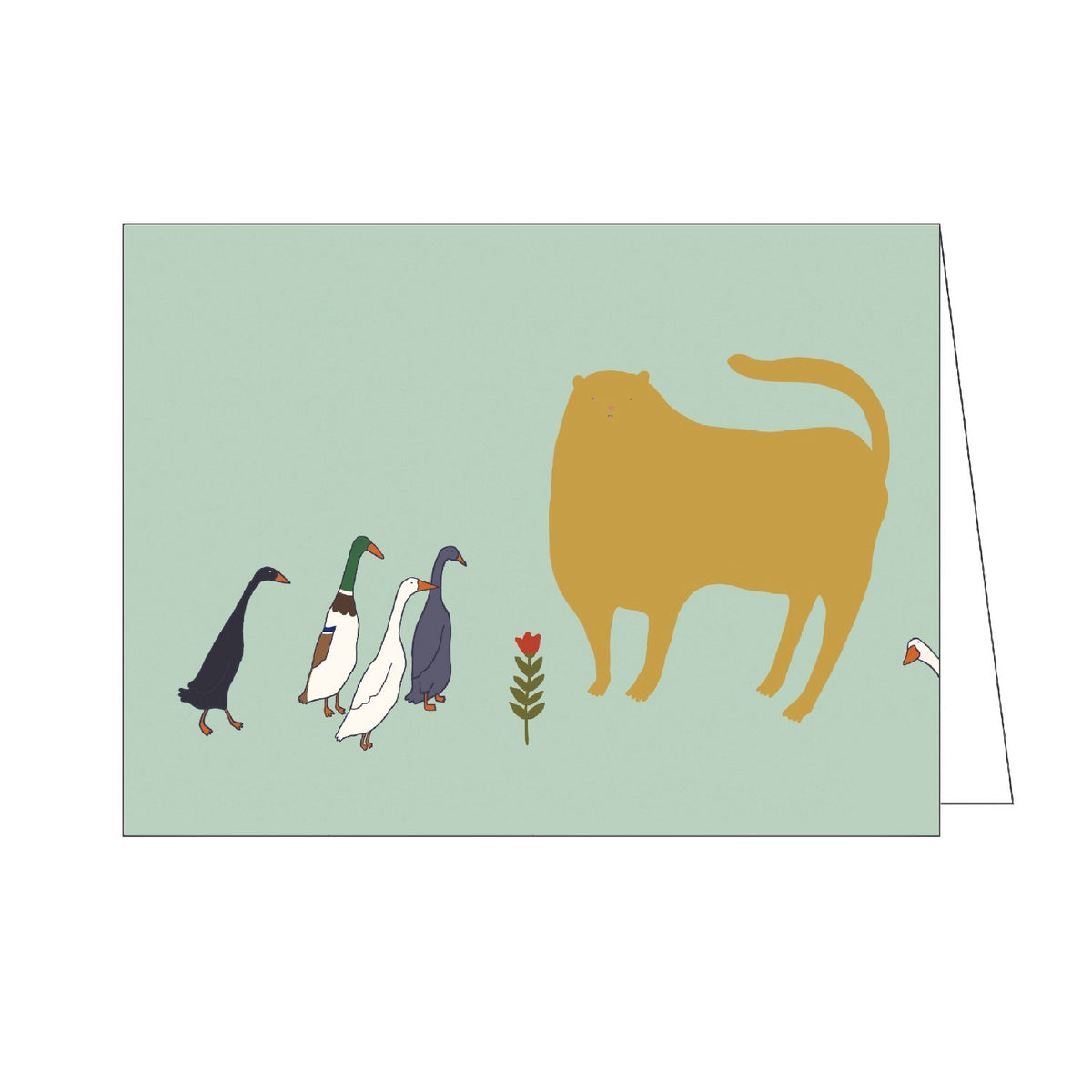 Cat and Runner Ducks Have a Shared Interest (it is the flower)