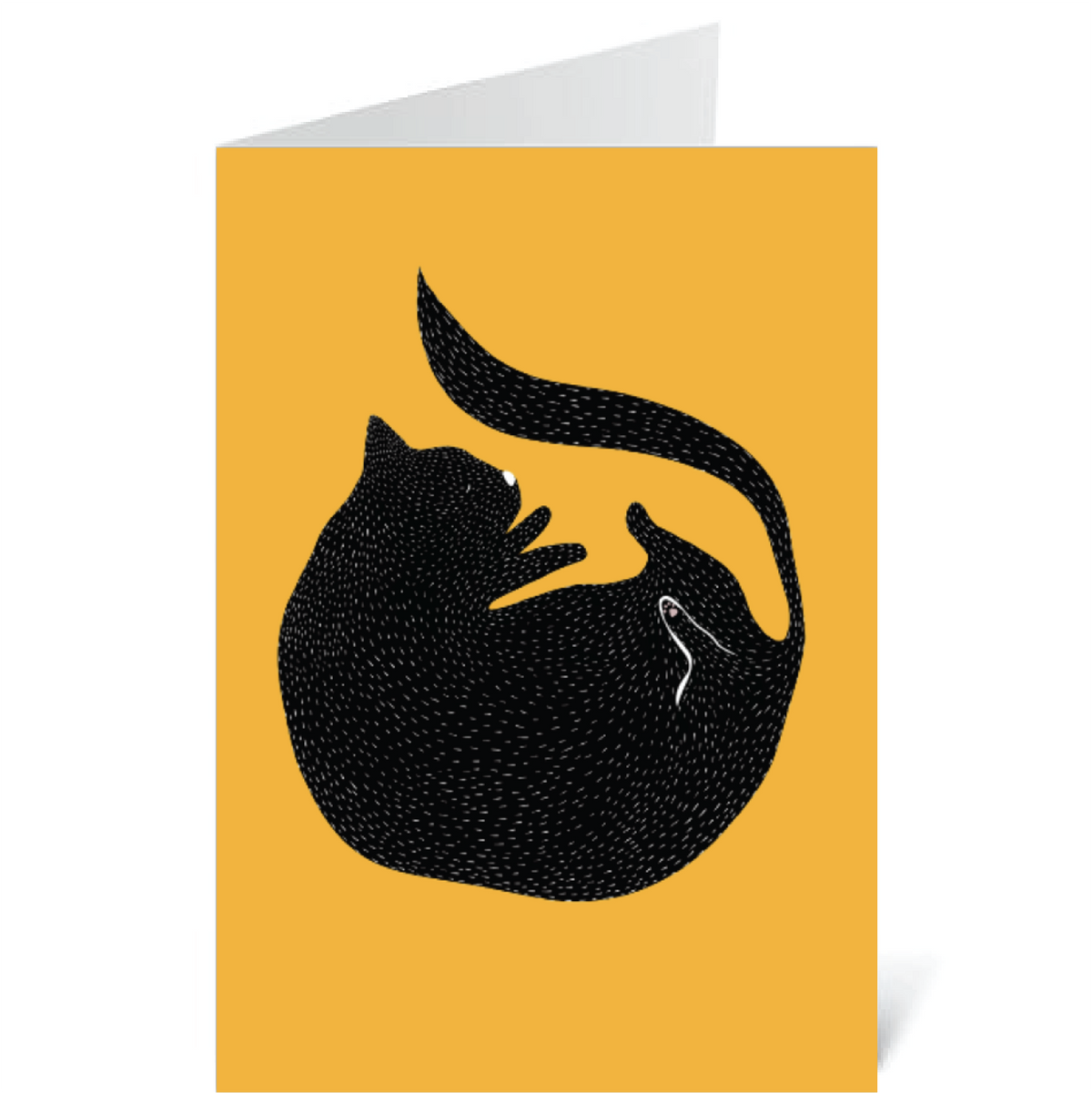 Round Cat
