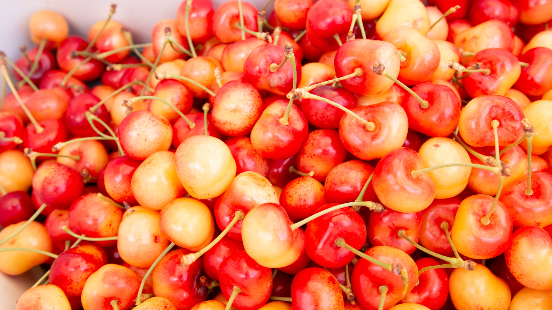 Apply Flathead Cherry Festival handMADE Montana