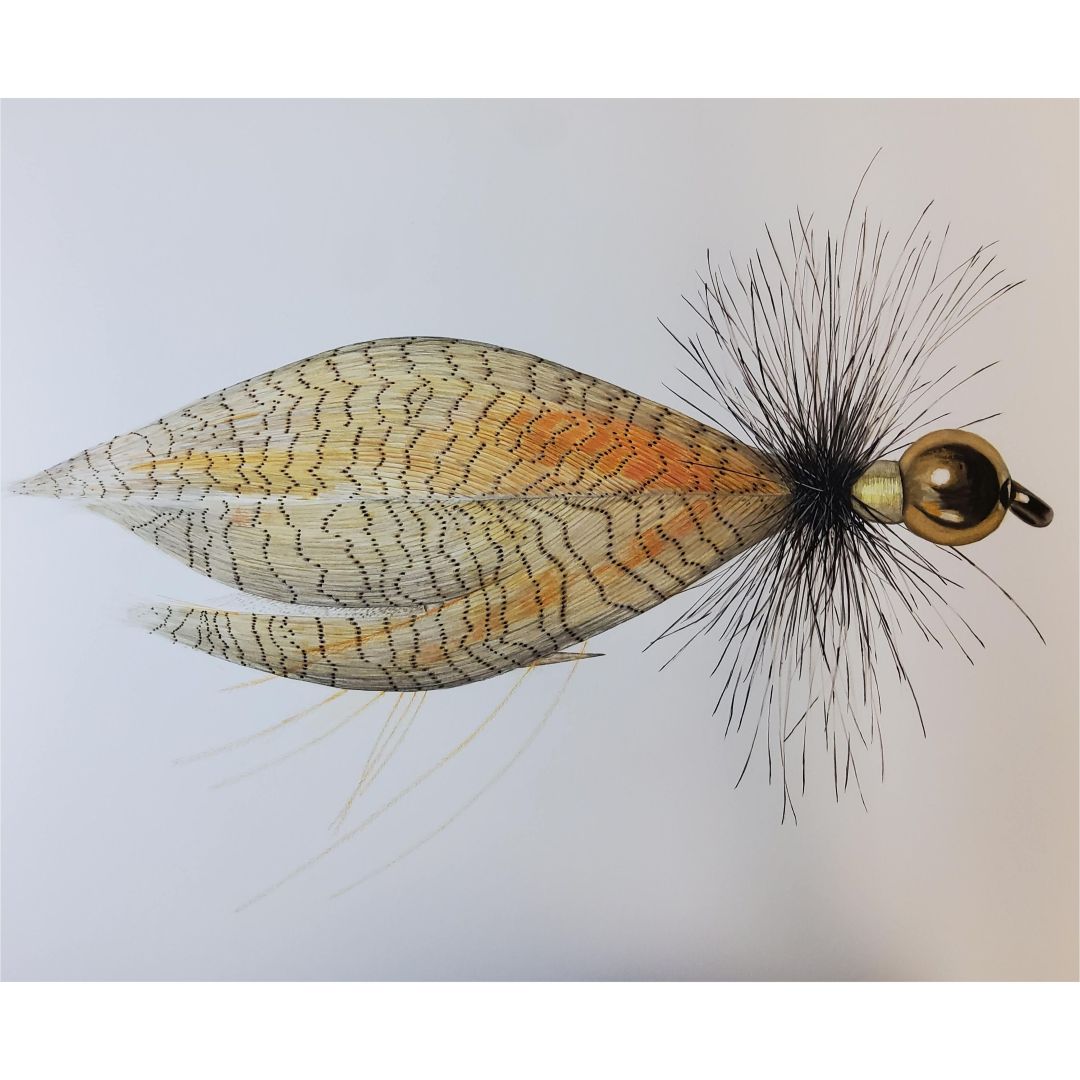 DC&#39;s Fly by Studio