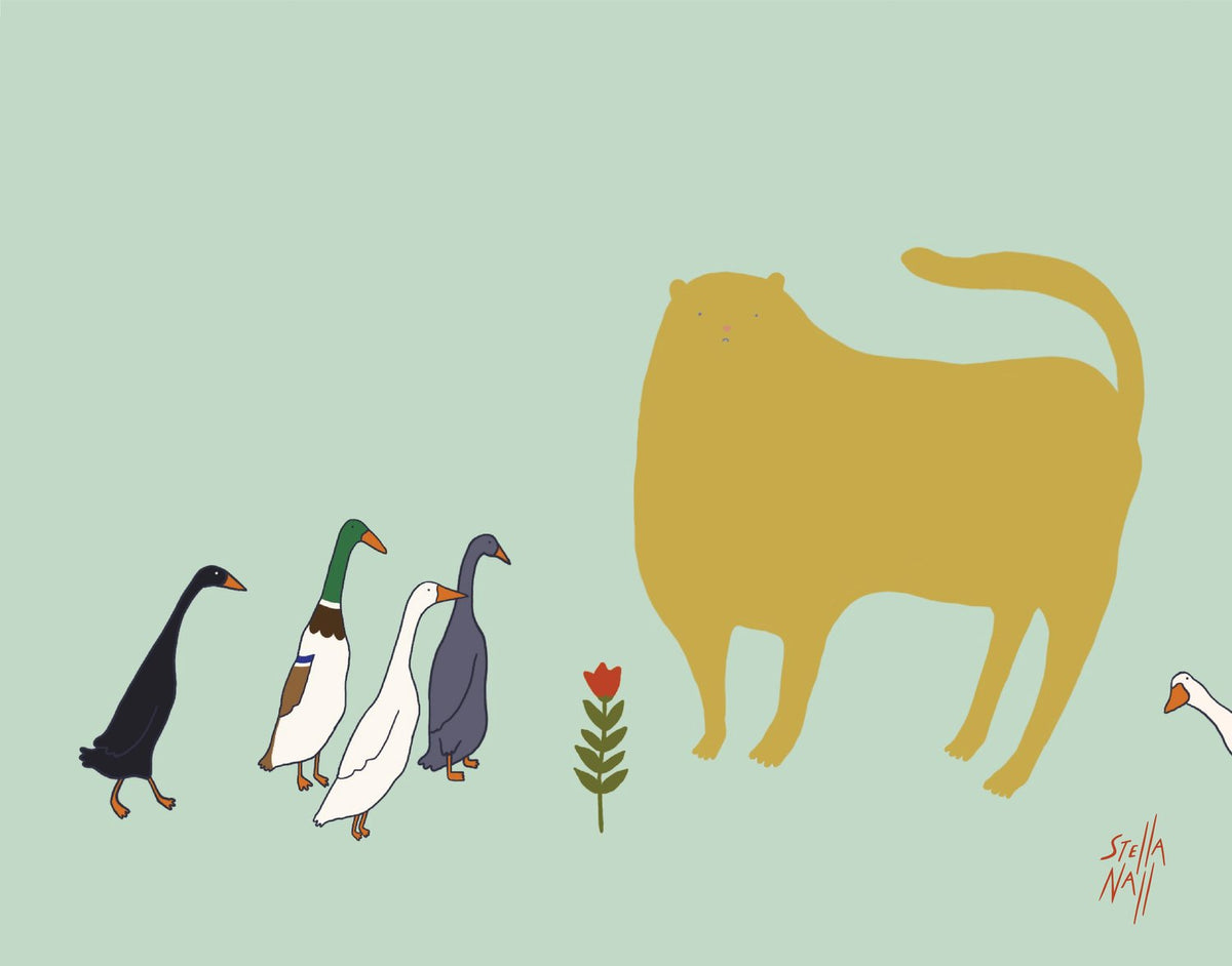 Cat and Runner Ducks Have a Shared Interest (it is the flower)