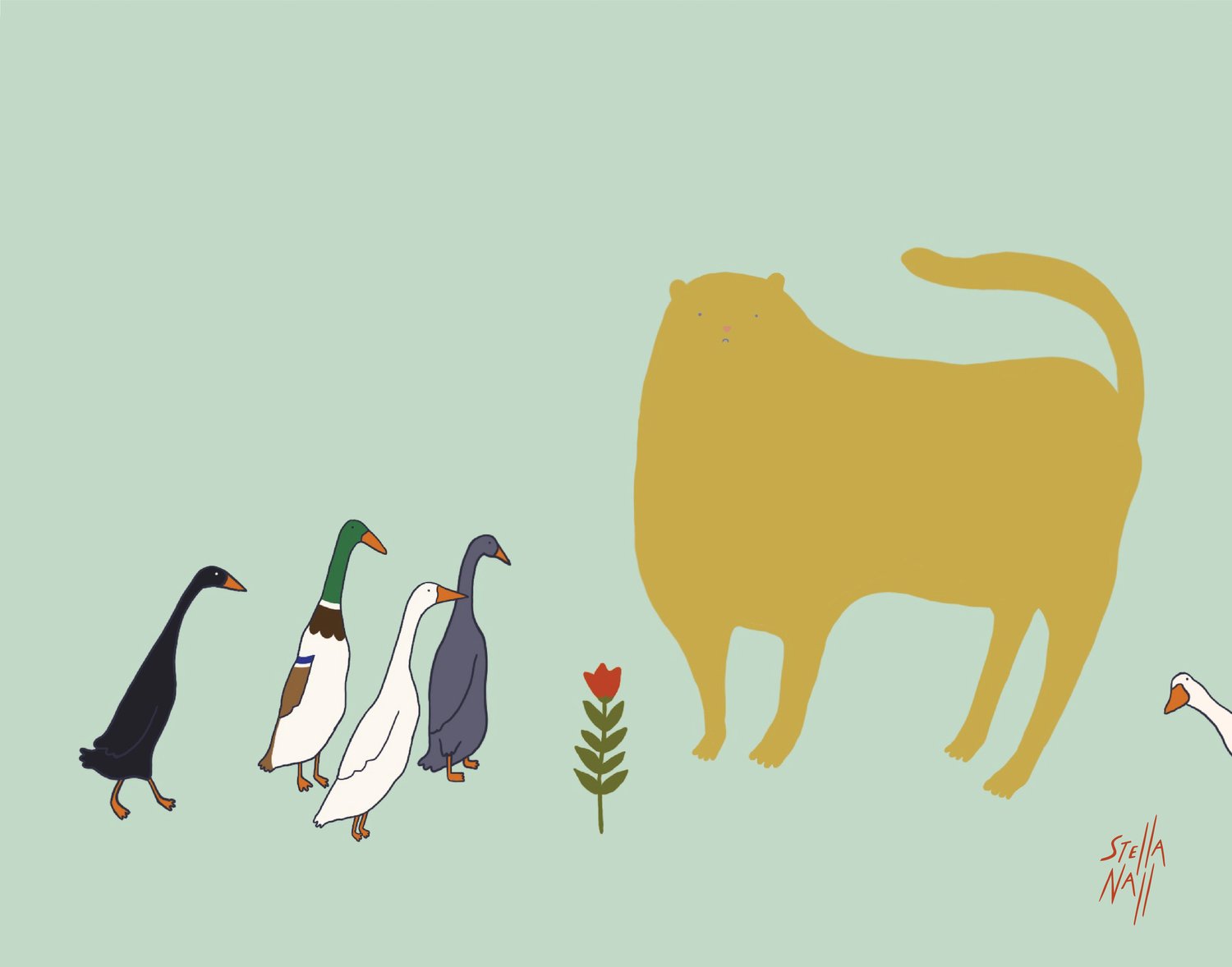 Cat and Runner Ducks Have a Shared Interest (it is the flower)