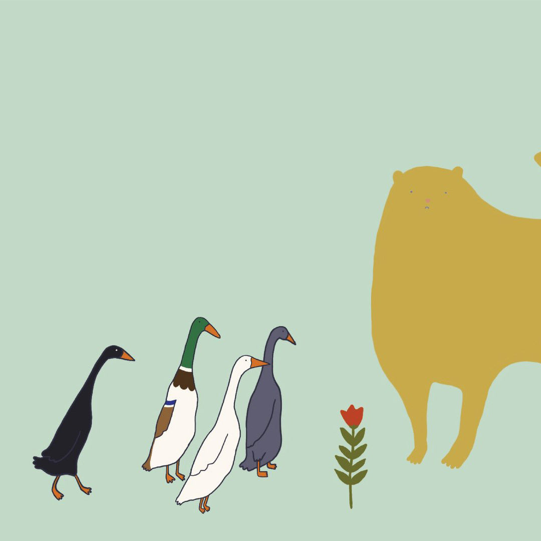 Cat and Runner Ducks Have a Shared Interest (it is the flower)