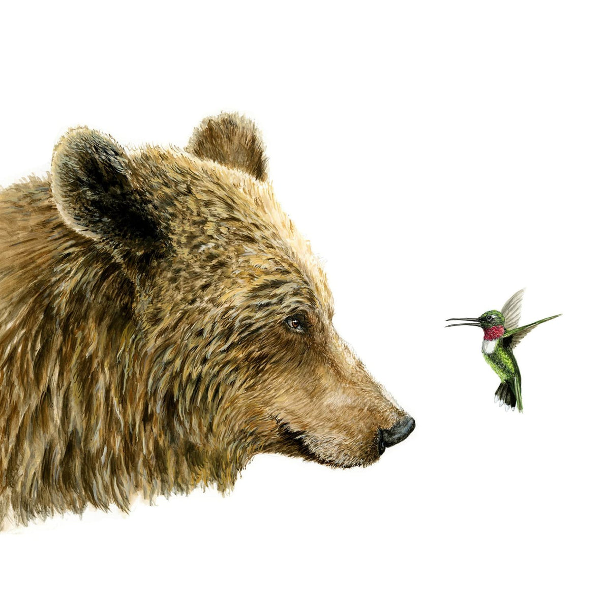 Grizzly &amp; Hummer