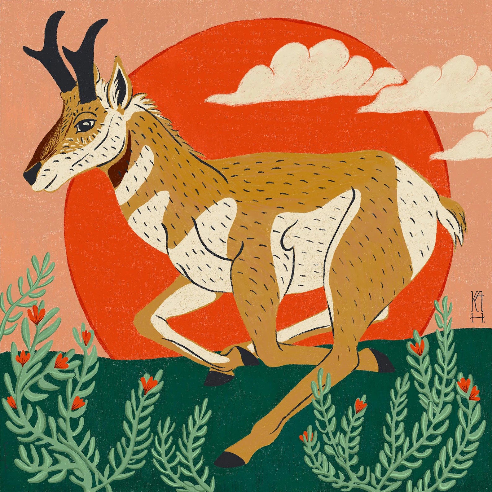 Pronghorn Antelope Print