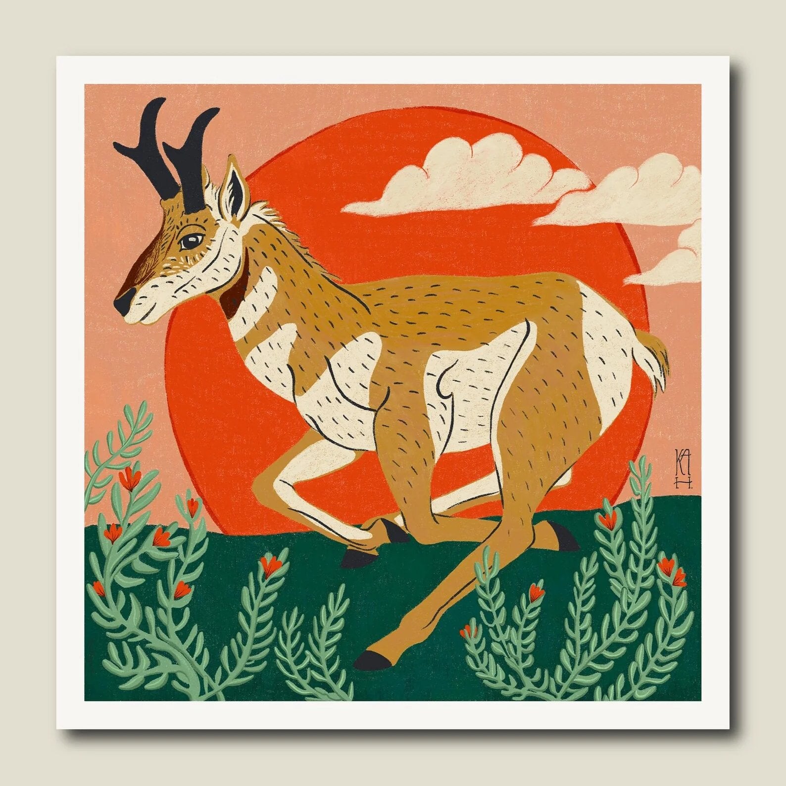 Pronghorn Antelope Print