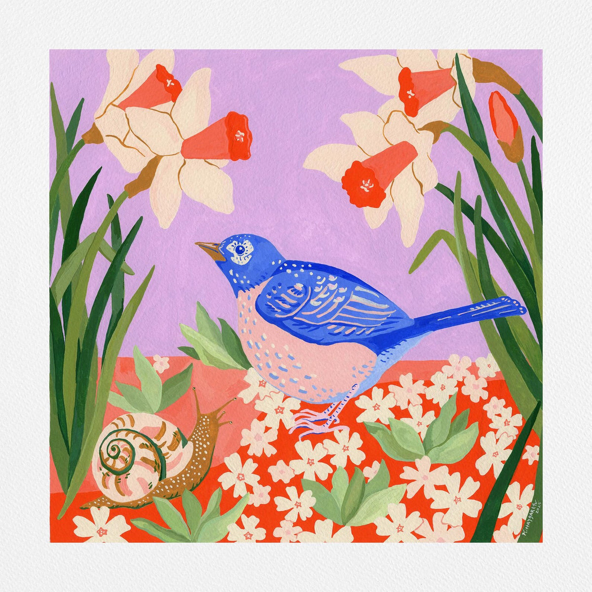 Robin and Snail