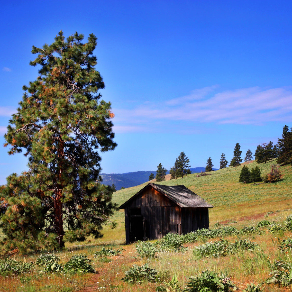 Montana Fish, Wildlife and Parks