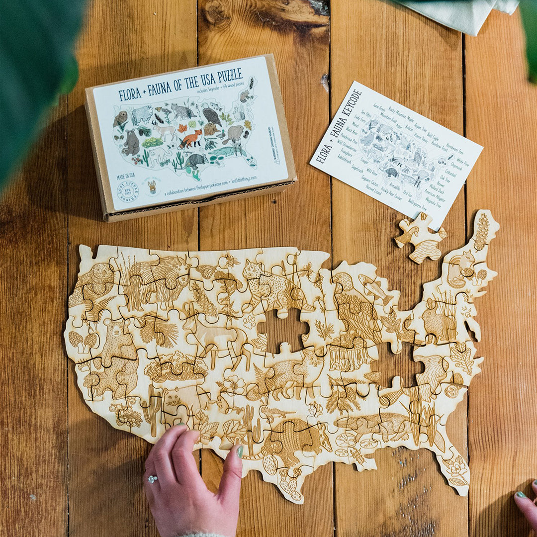 Little Studio Collective