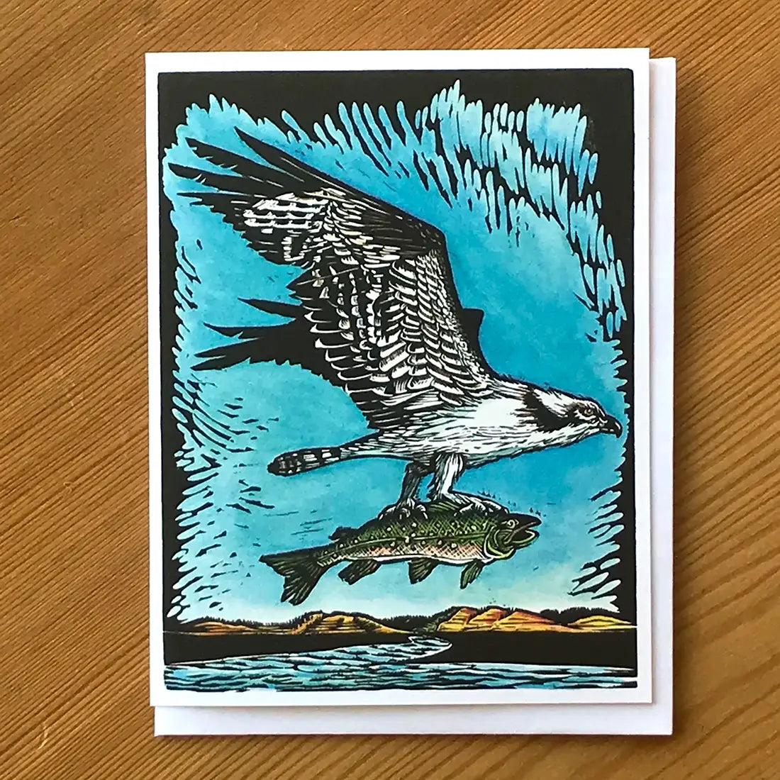 Osprey - Success At the Nest