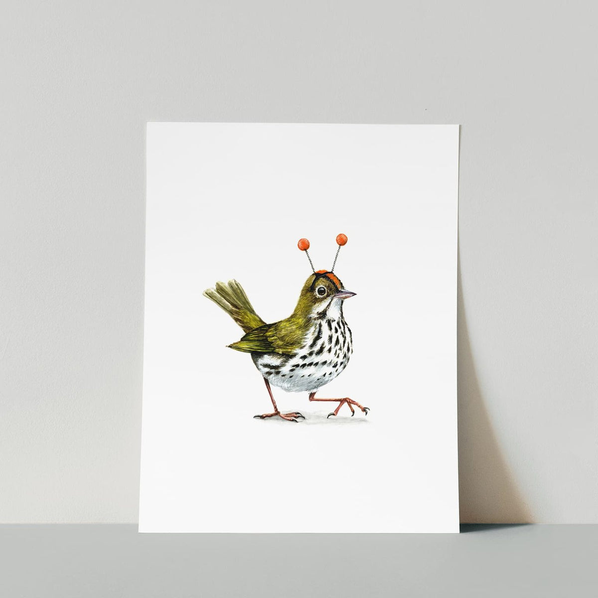 Ovenbird