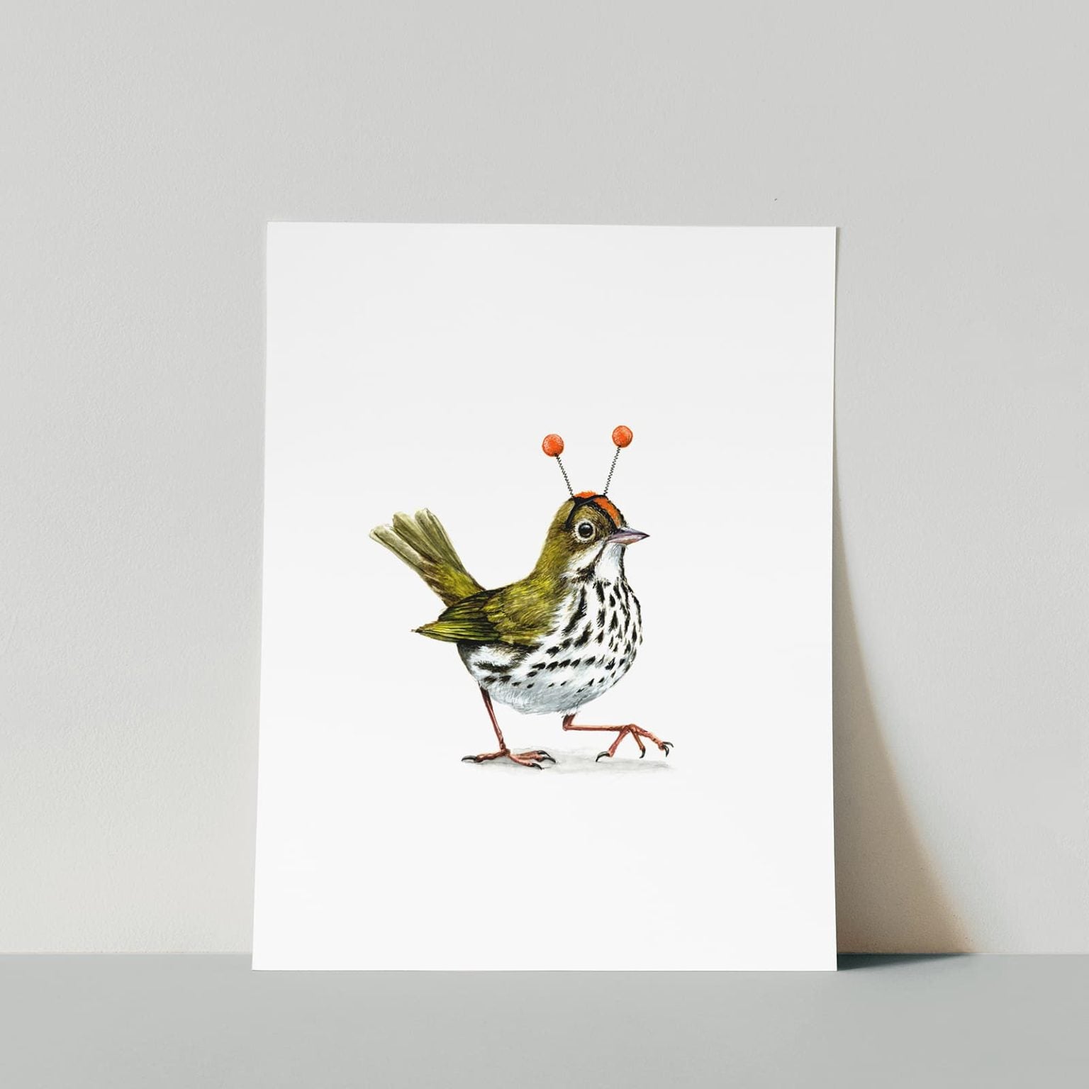 Ovenbird