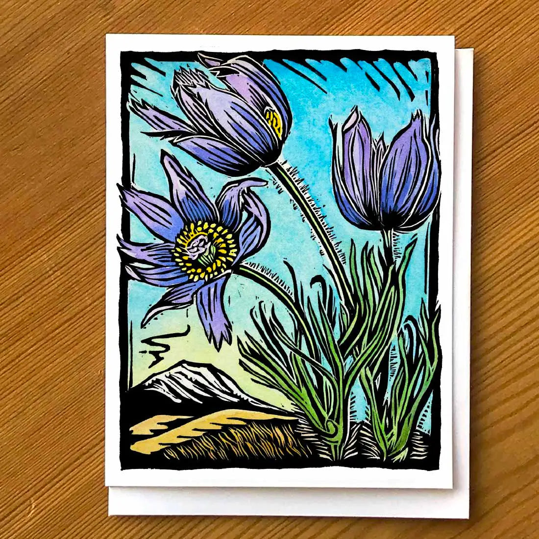 Pasque Flowers- Emergence