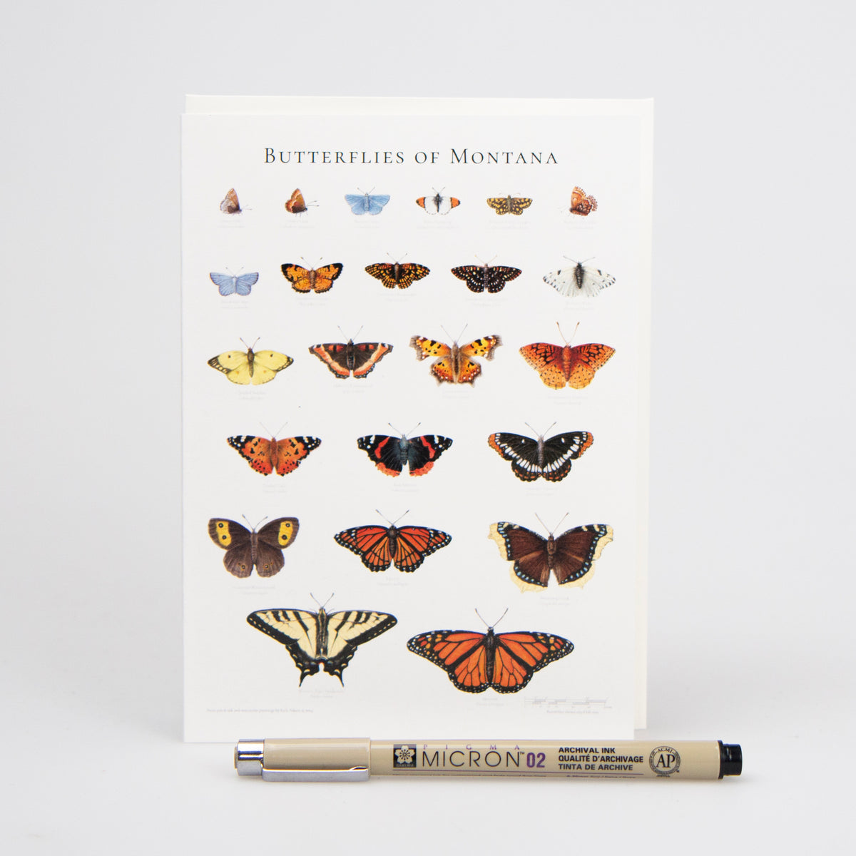 Butterflies of Montana