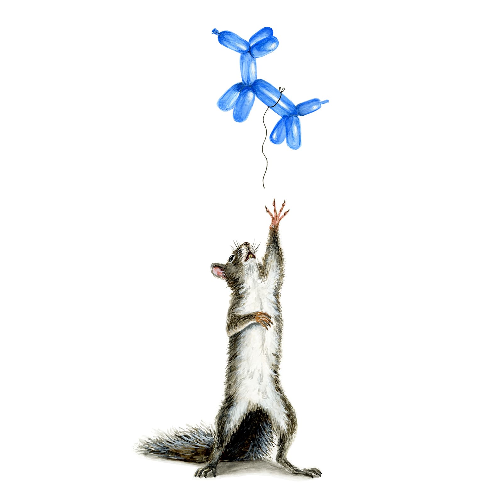 Squirrel & Balloon