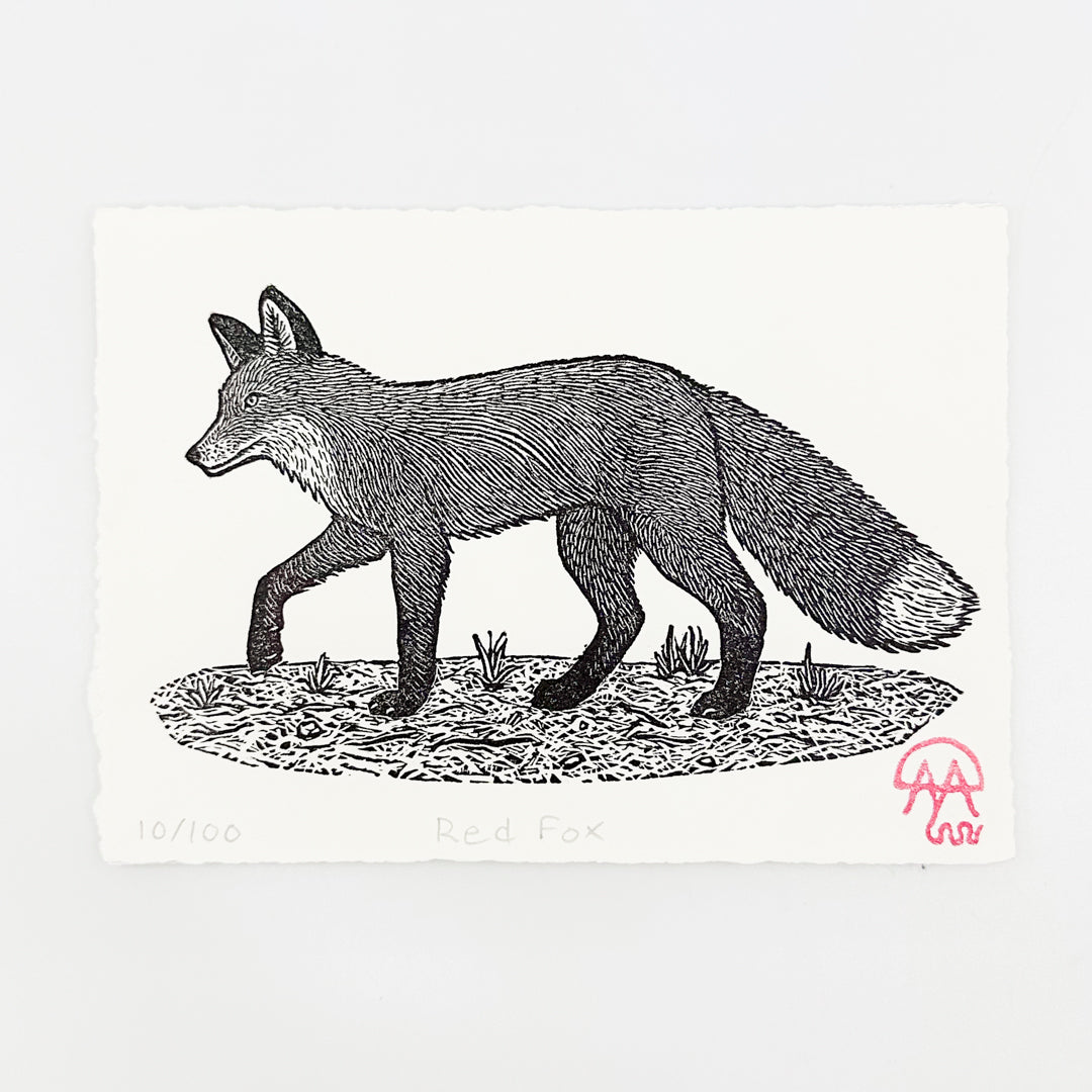 Red Fox