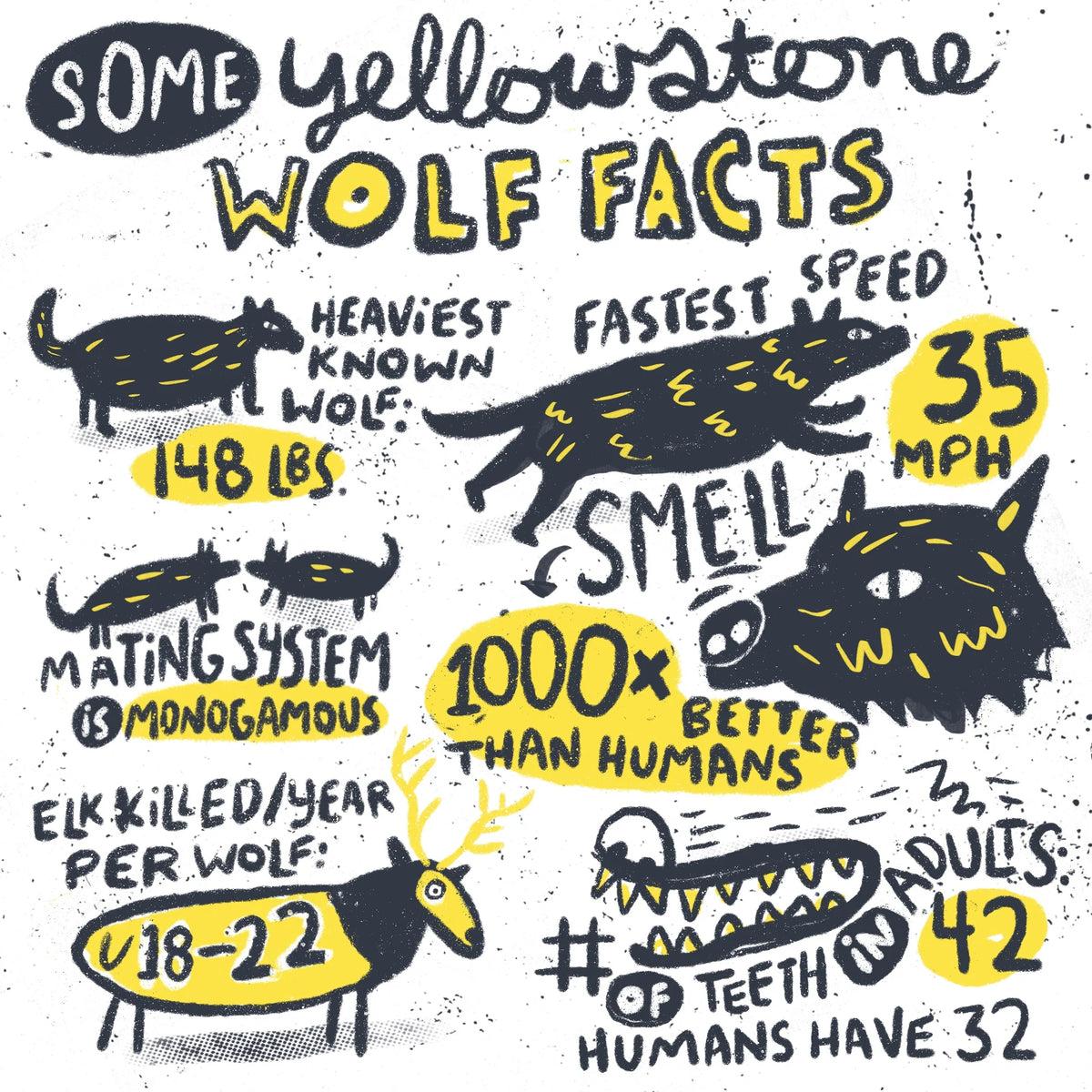 Yellowstone Park Quick Facts