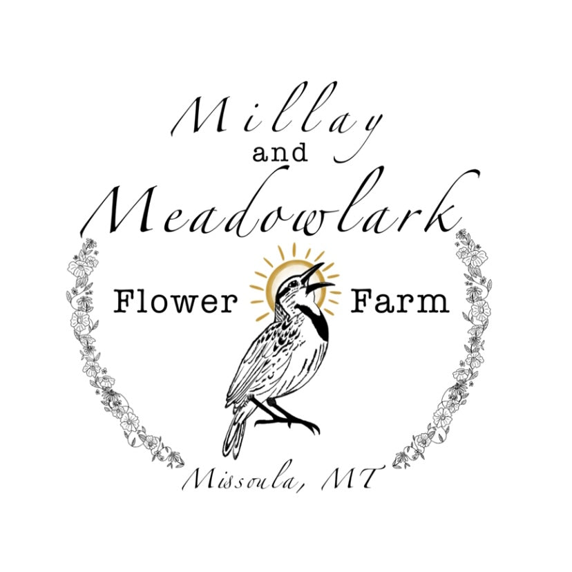 Millay and Meadowlark Flower Farm