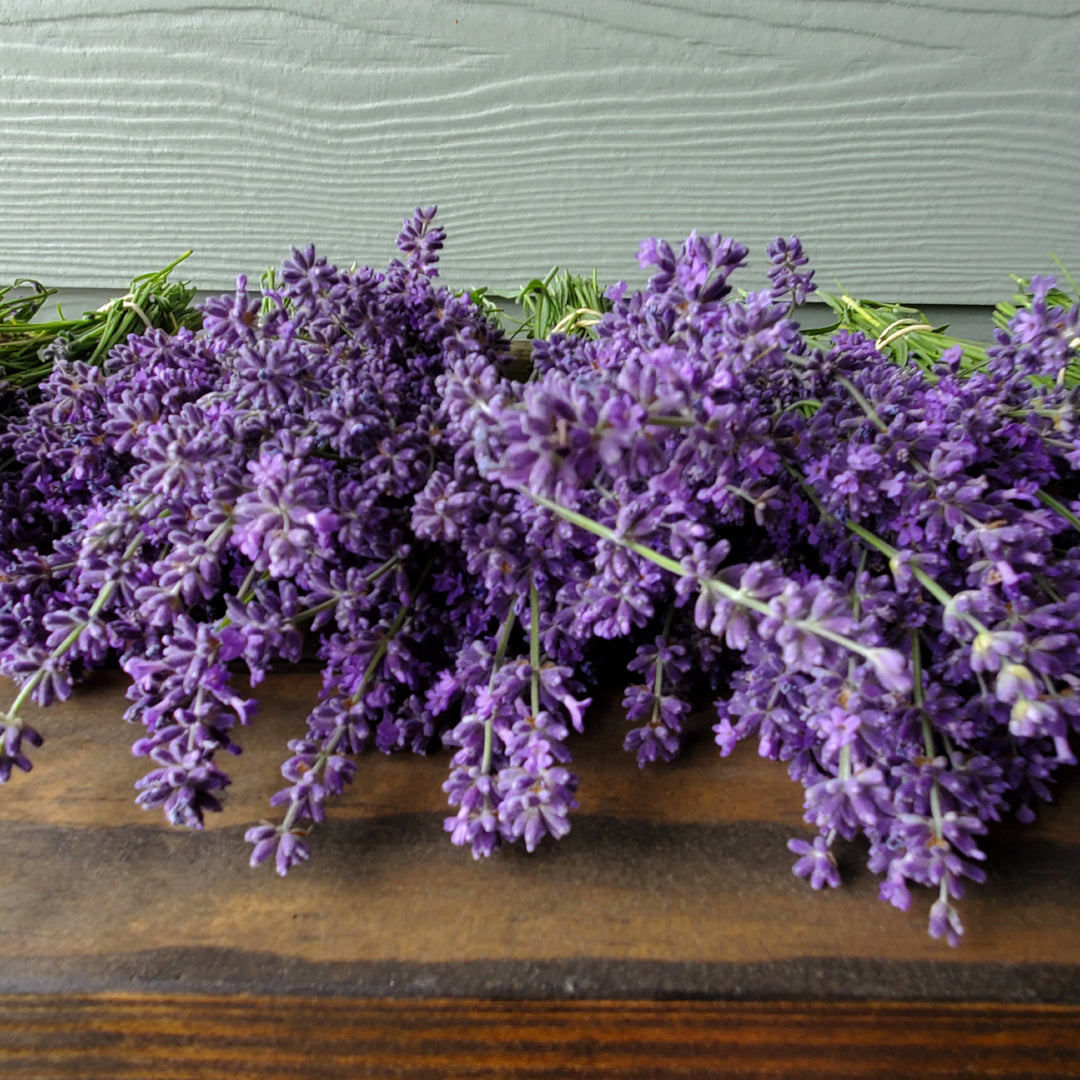 Big Sky Lavender Farms