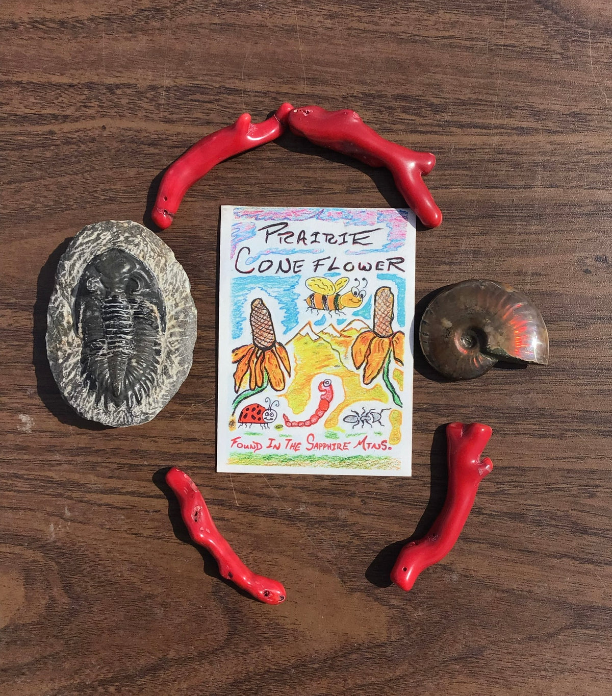 Montana Survival Seed