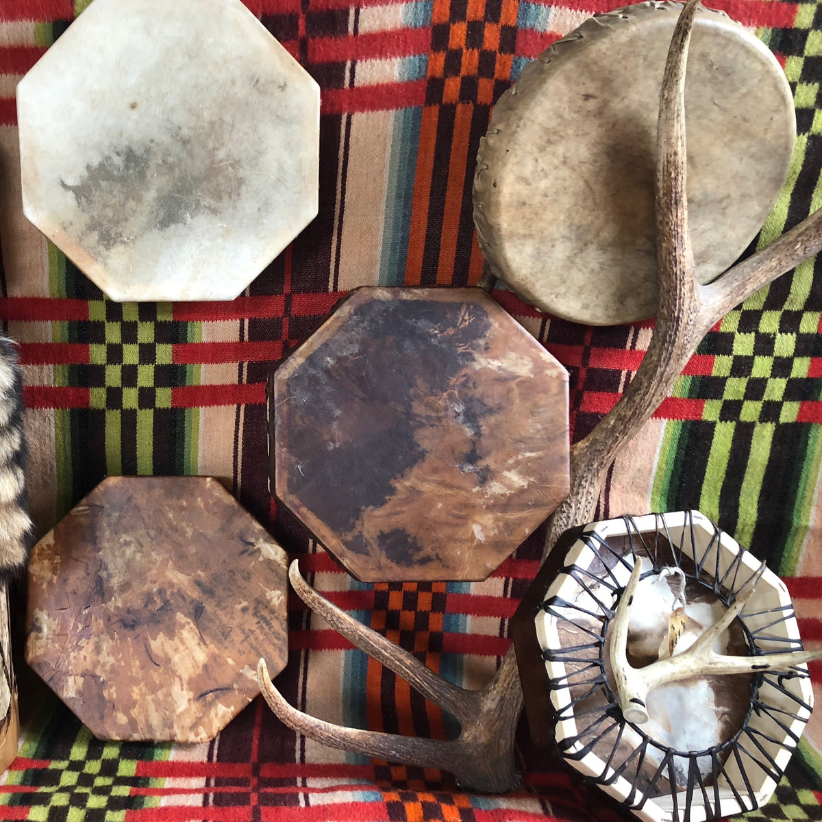 EarthWalk Wilderness School