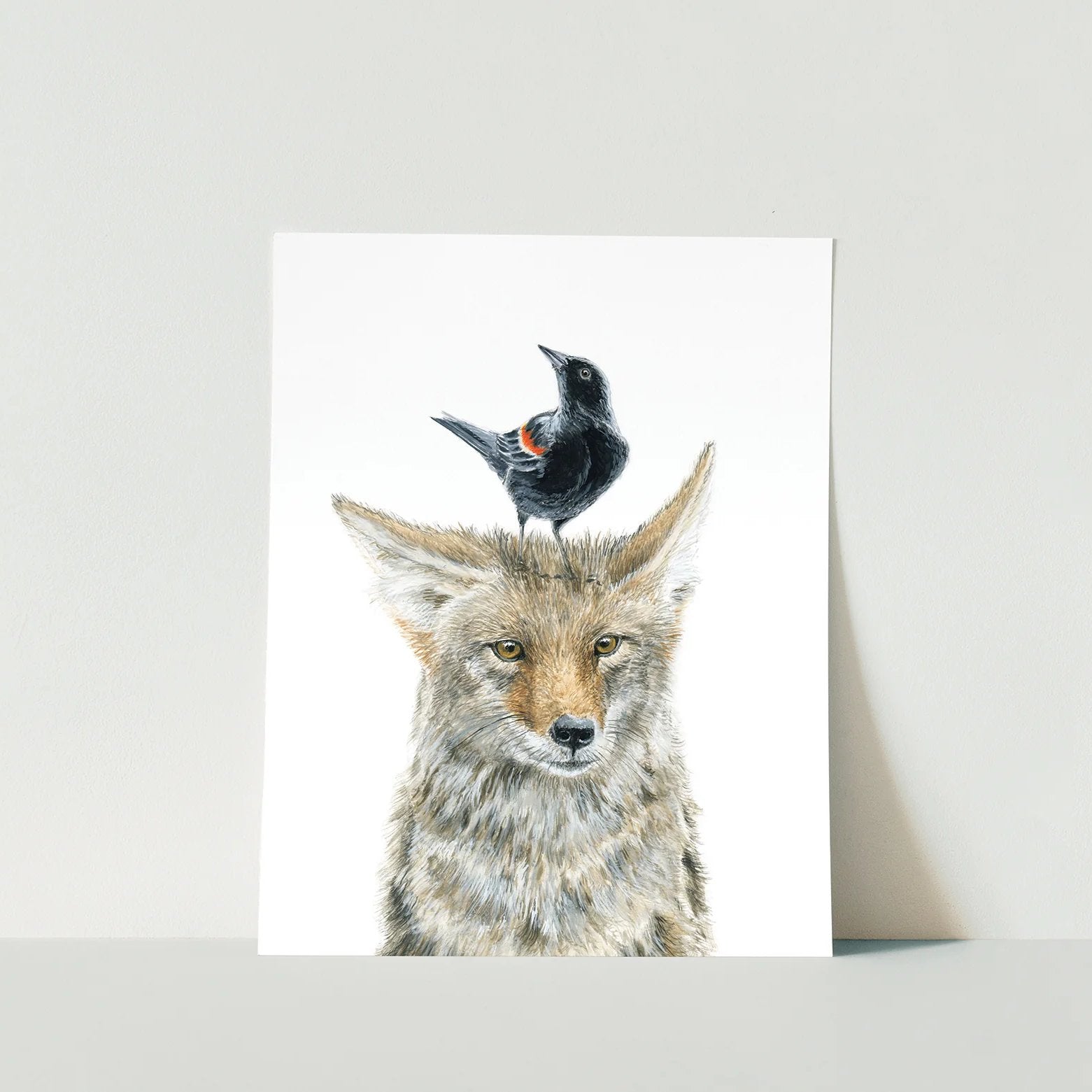 Coyote & Blackbird