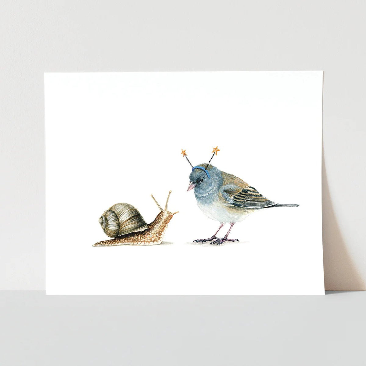 Junco &amp; Land Snail
