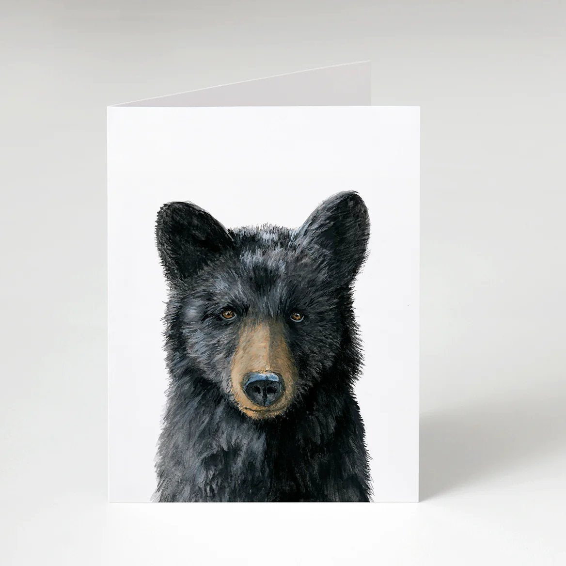Black Bear