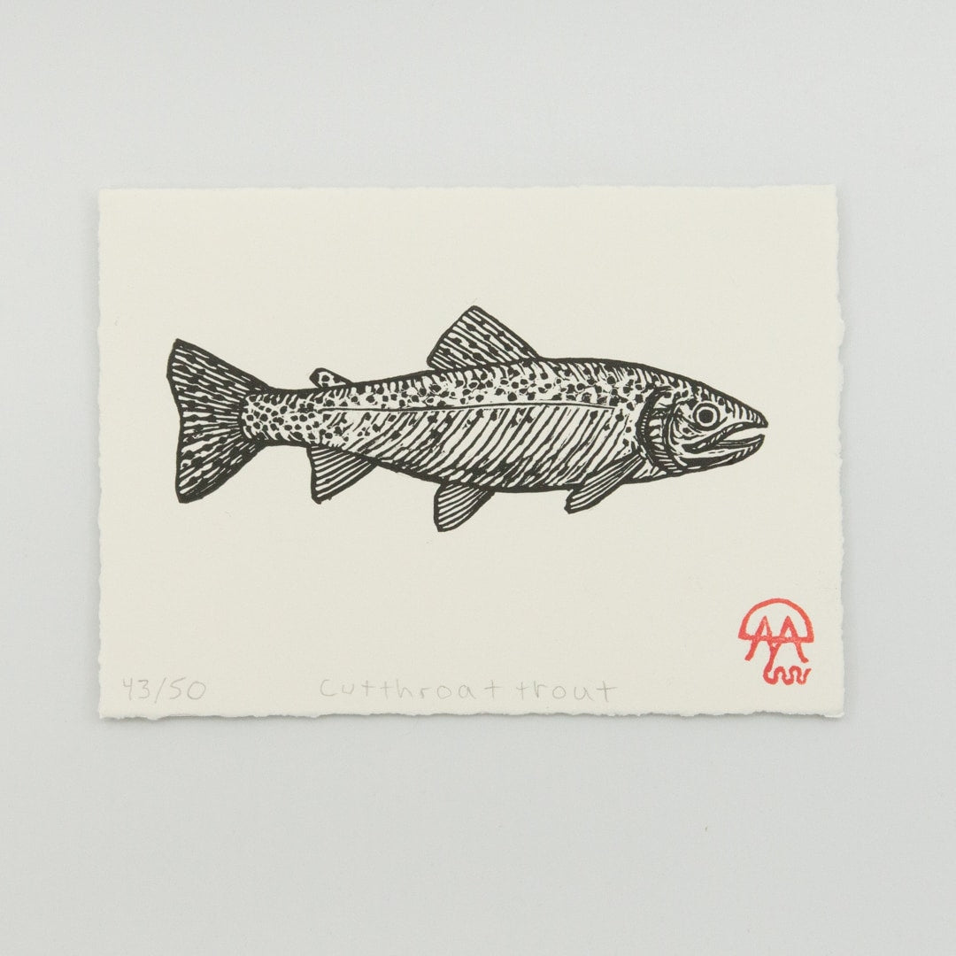 Cutthroat Trout