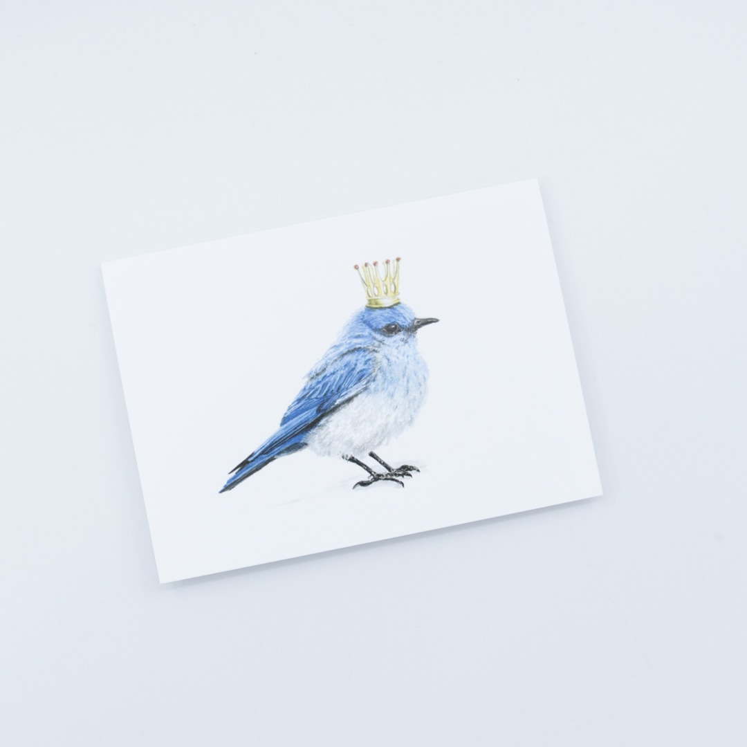 Trailblazer Birds Note Cards