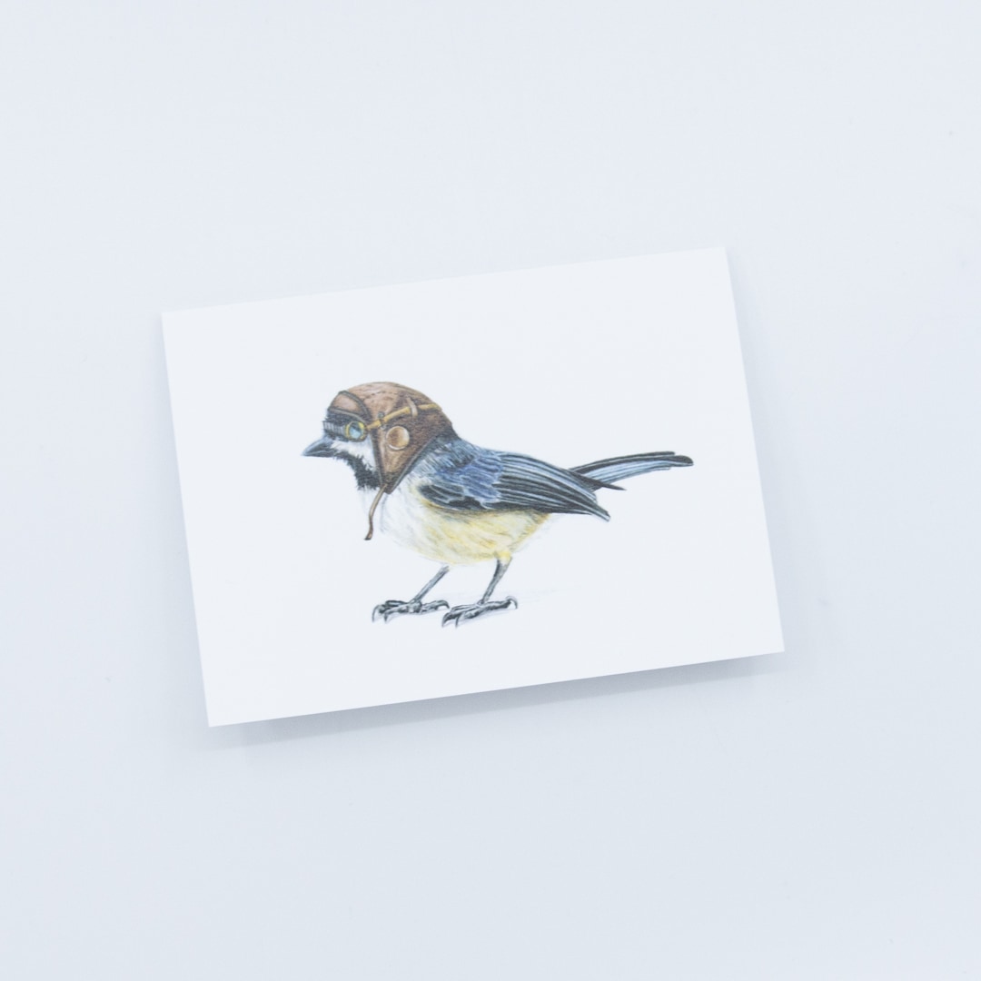 Trailblazer Birds Note Cards