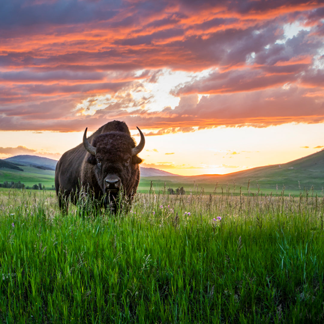 Brandon Droeger Photography