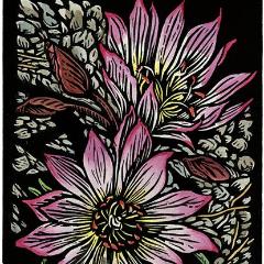 Claire Emery Woodcuts