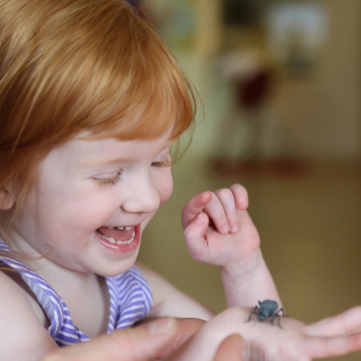 Missoula Butterfly House and Insectarium