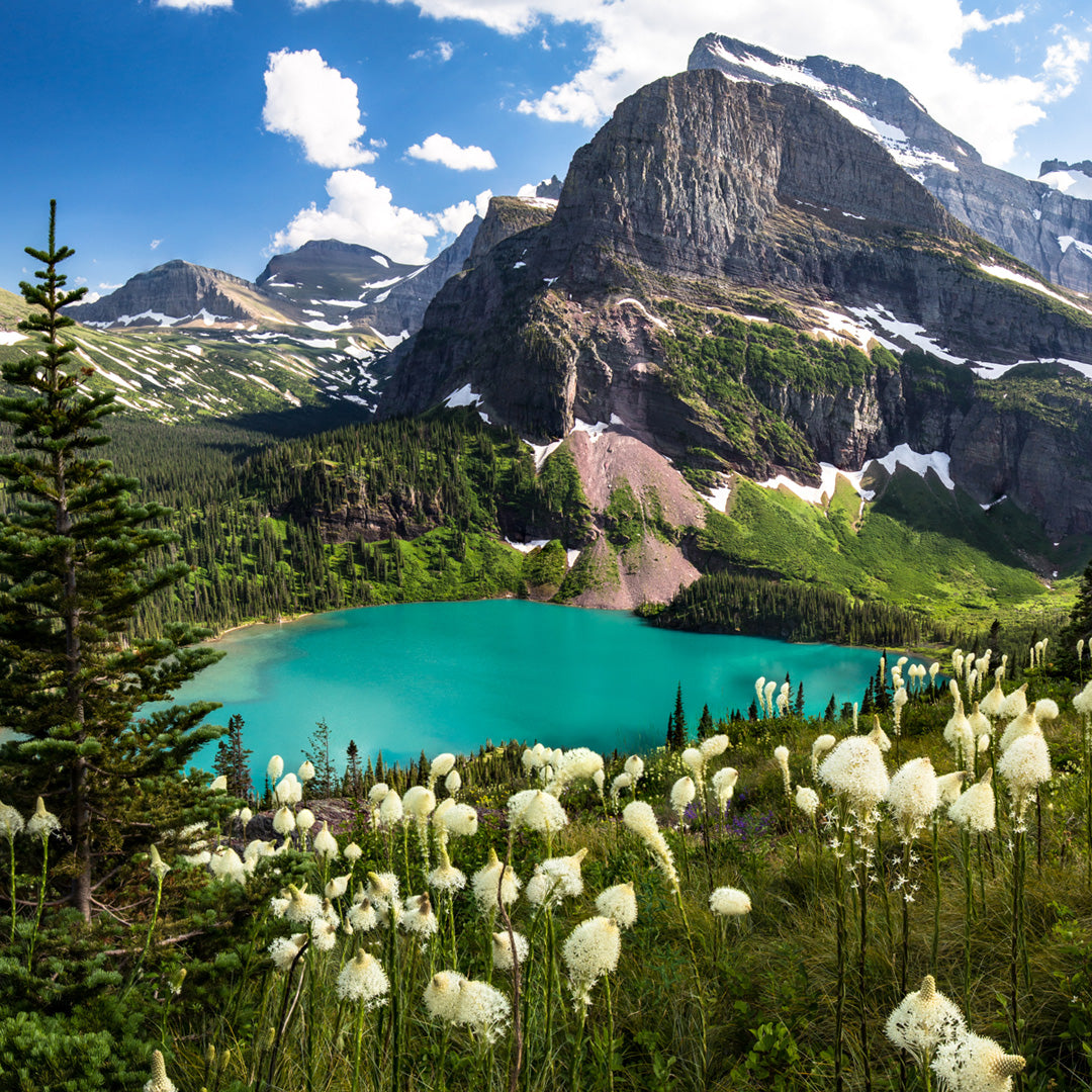 Just Your Average Weekend Photography